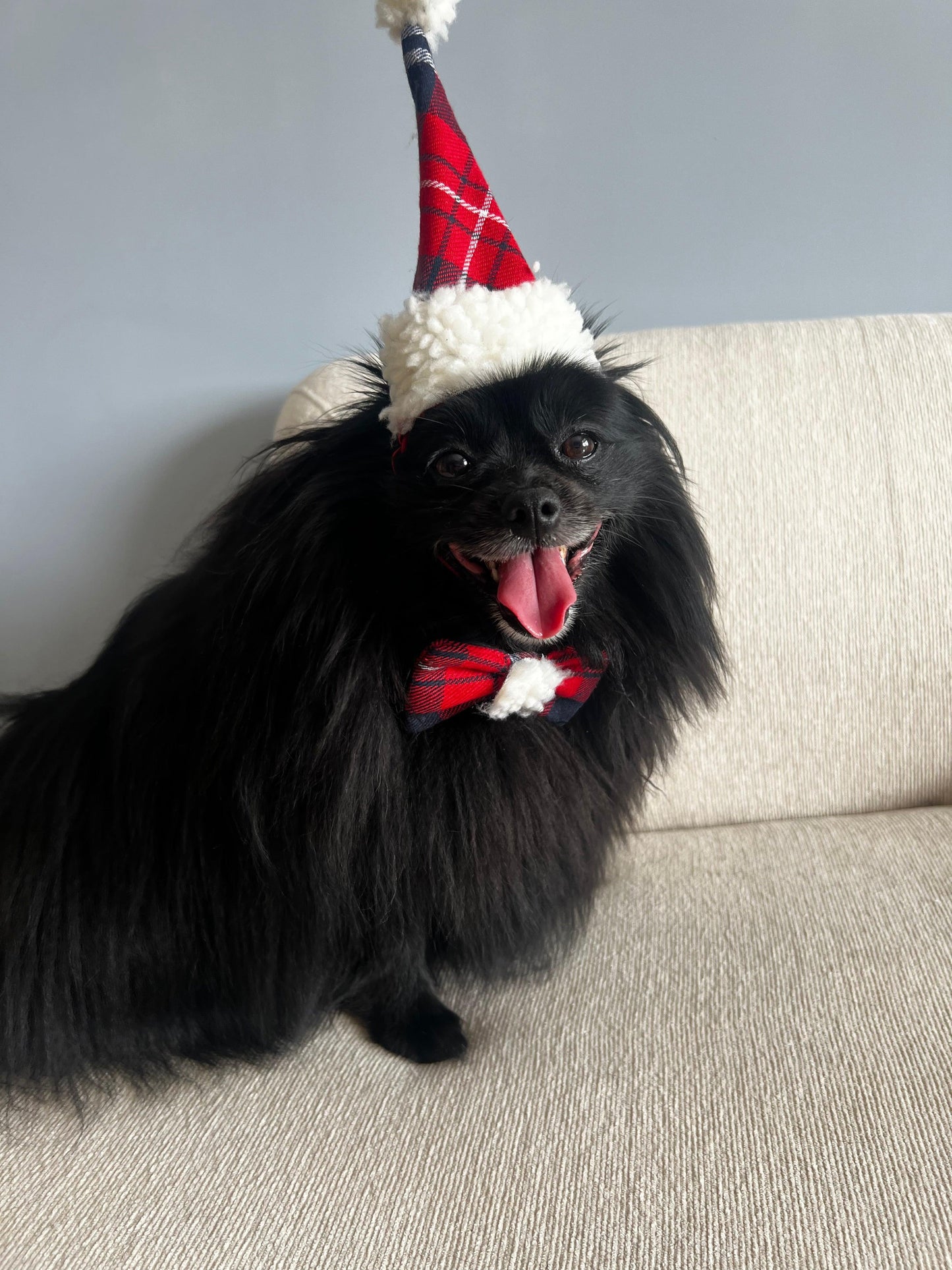 fantasia natal