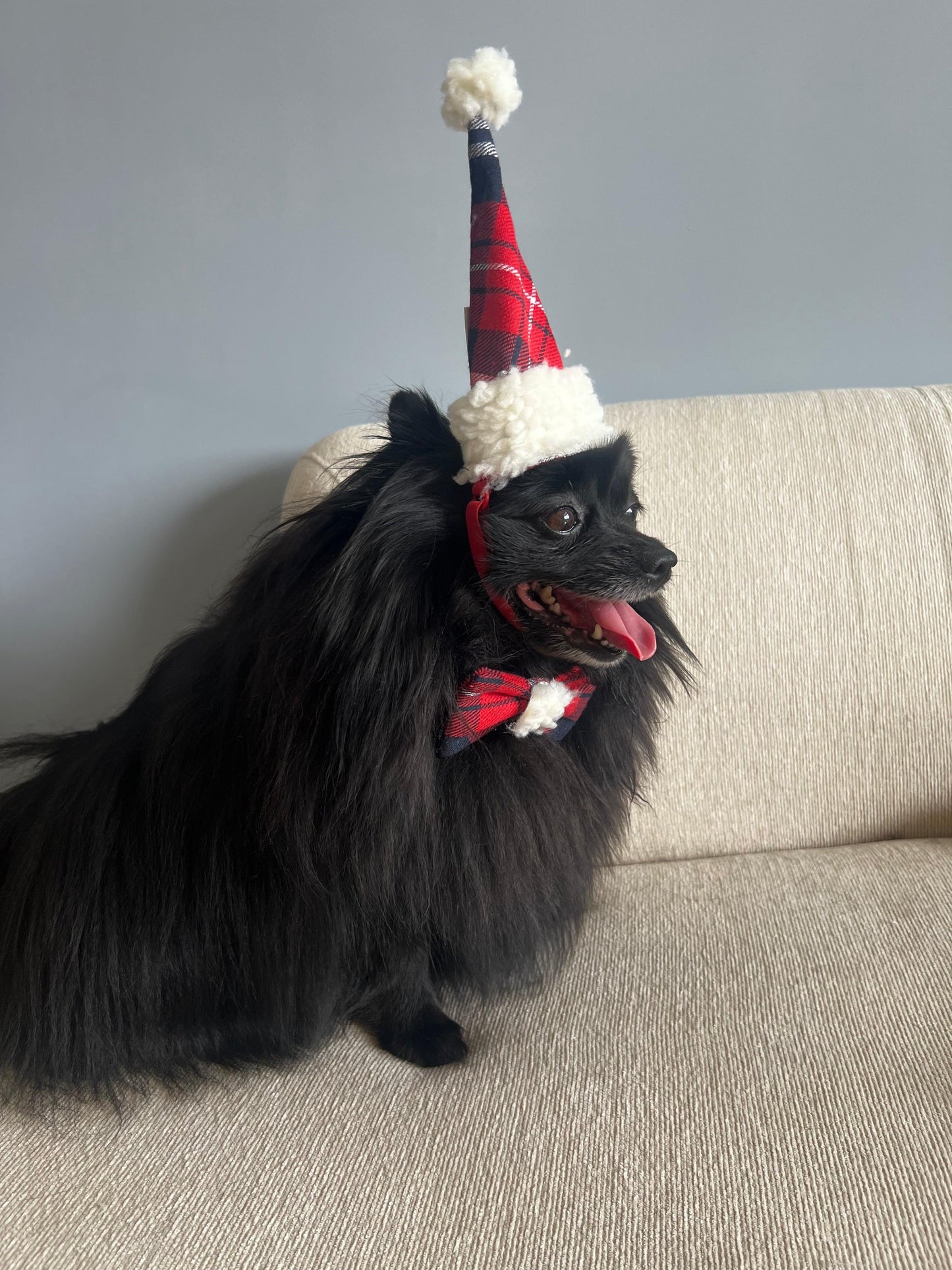 fantasia natal
