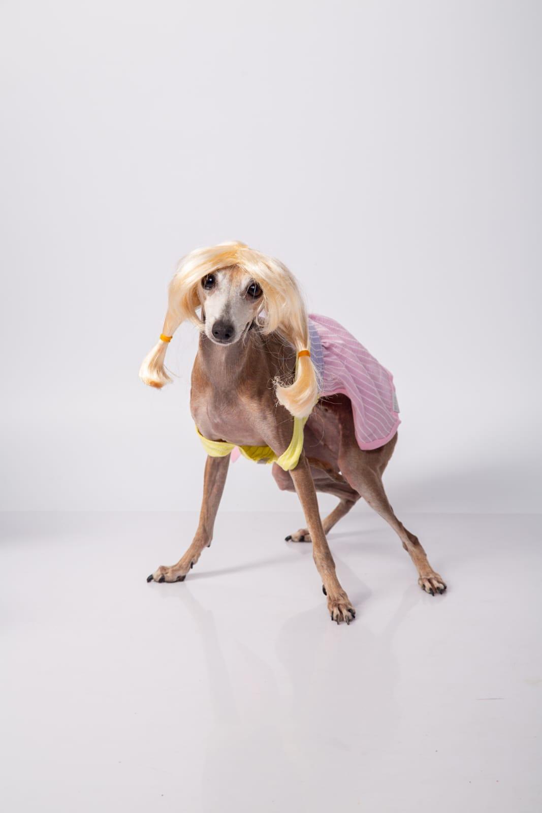 vestido candy