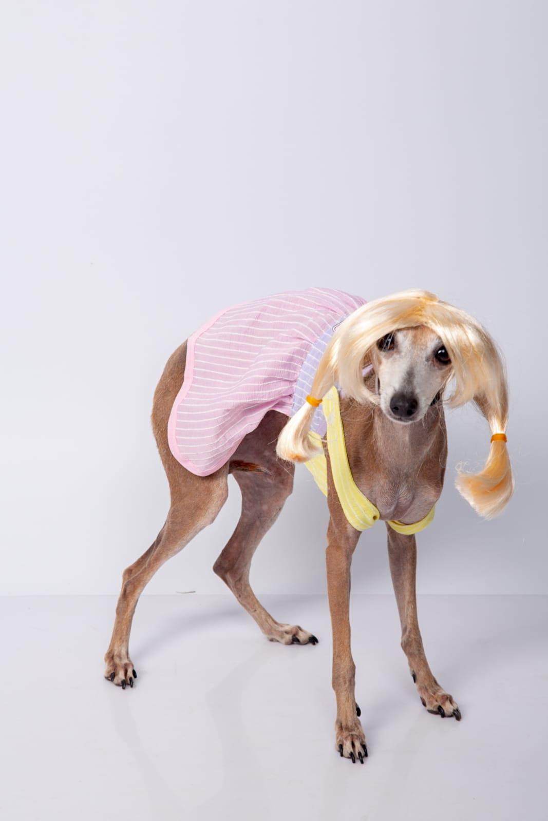 vestido candy