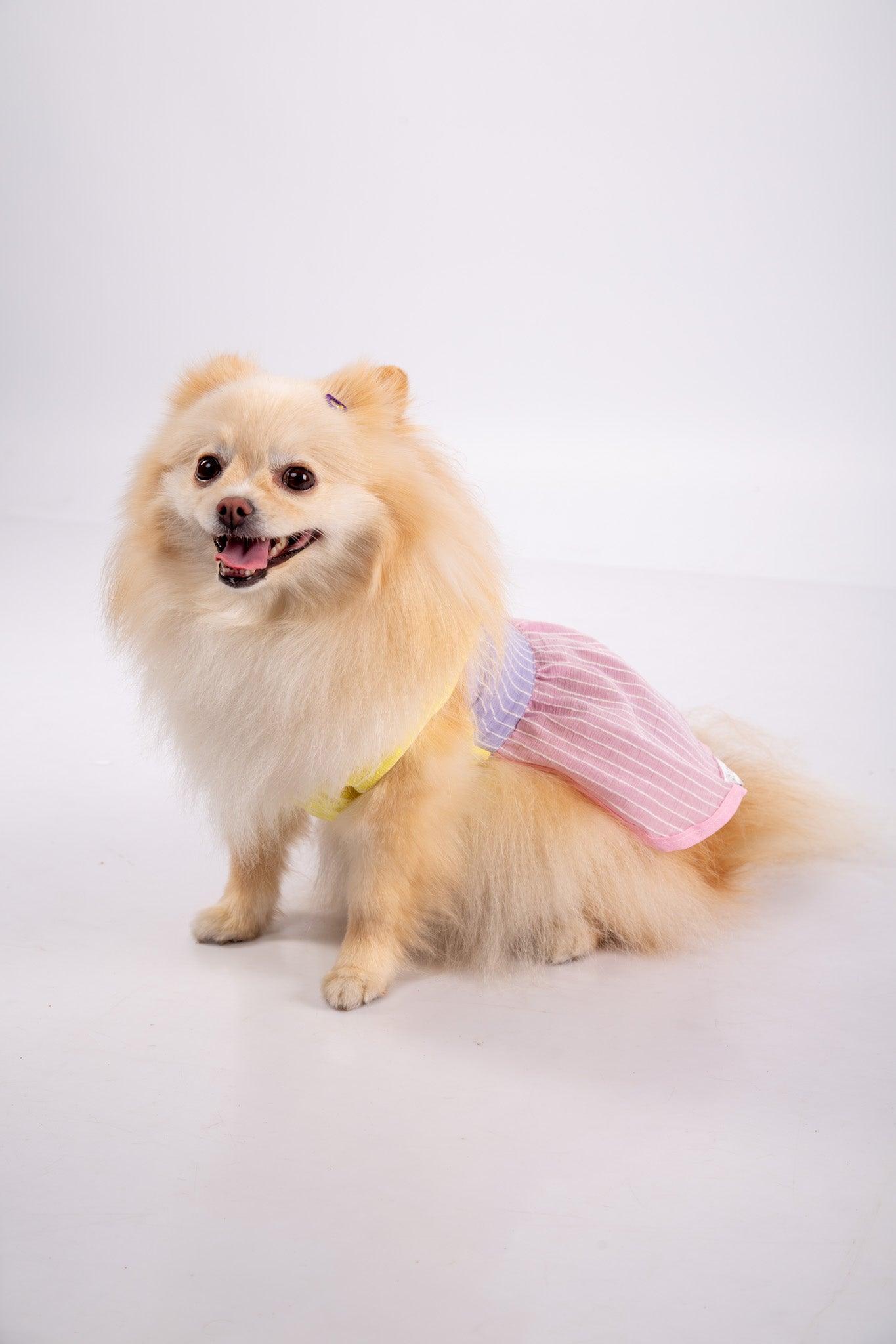 vestido candy