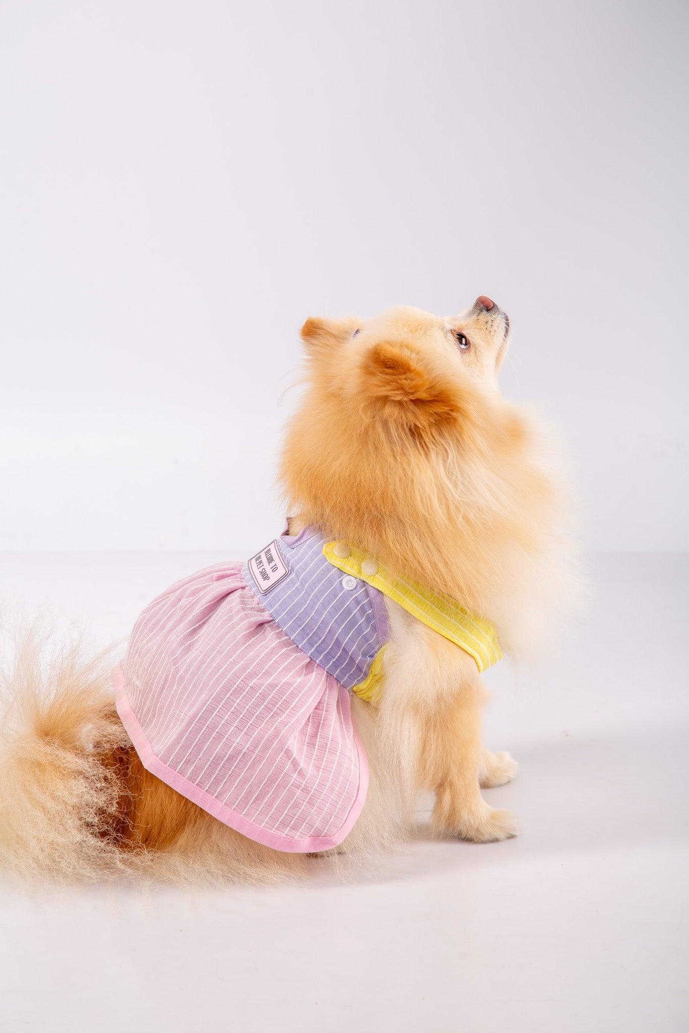 vestido candy