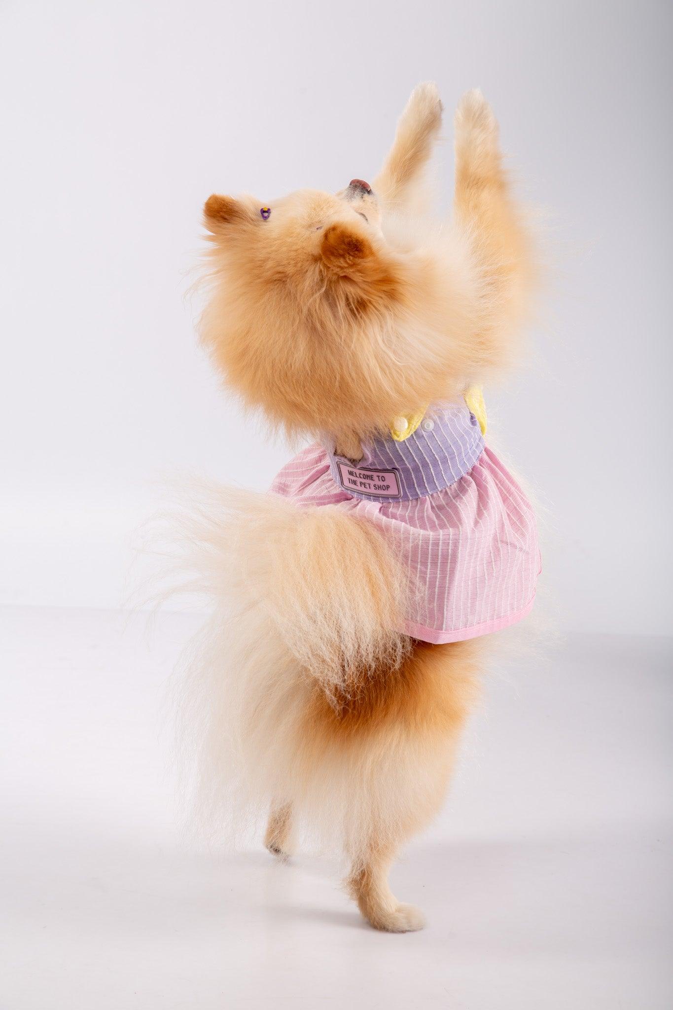 vestido candy