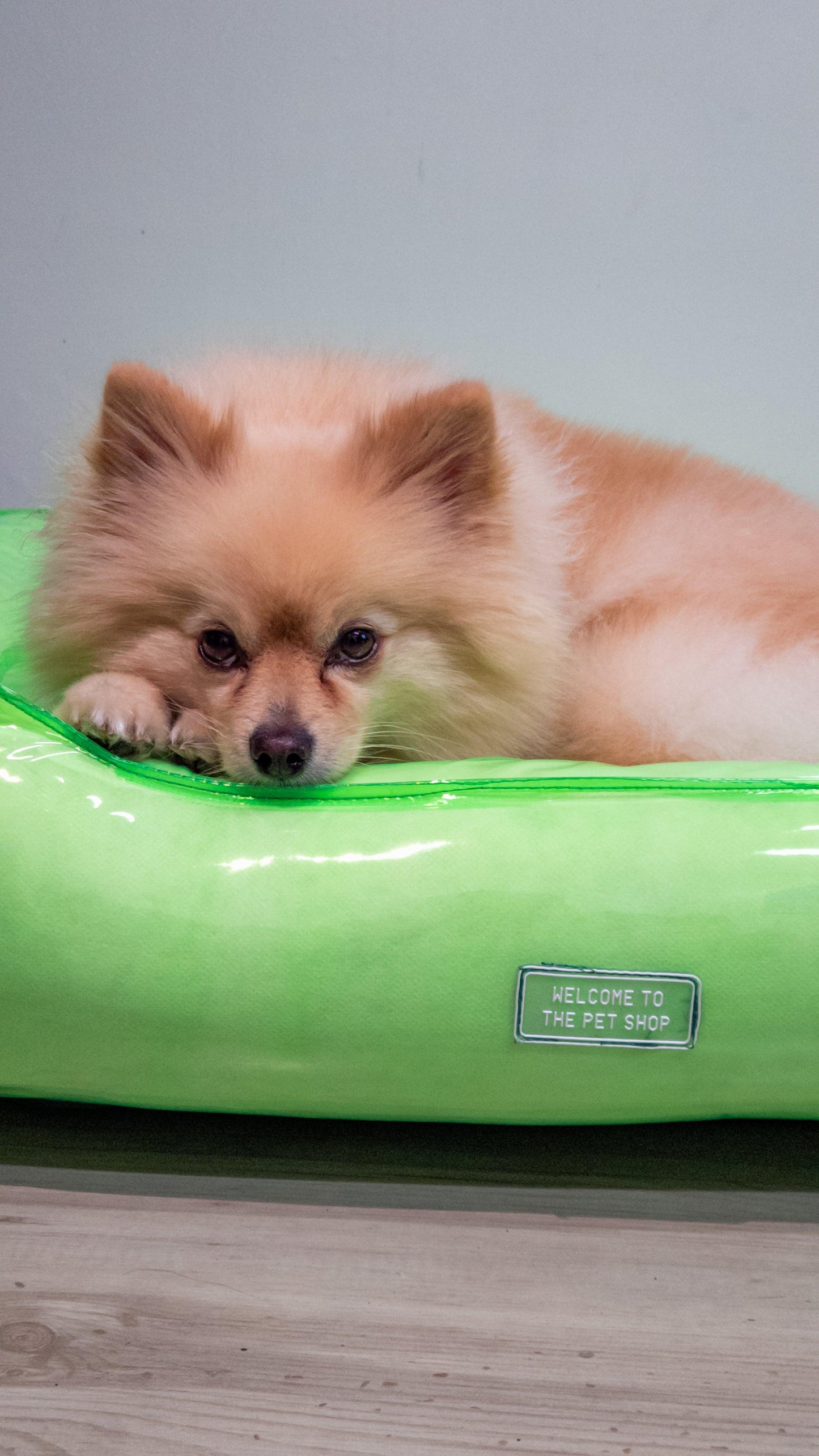 cama impermeável