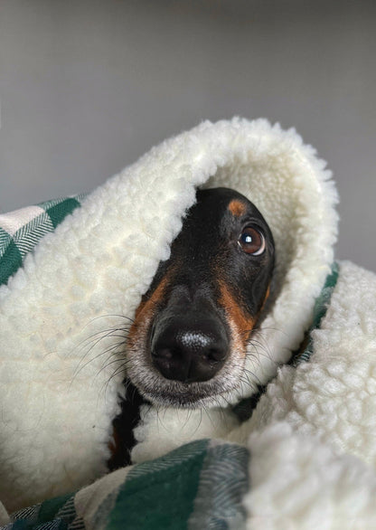 Cobertor - Warm & Cozy