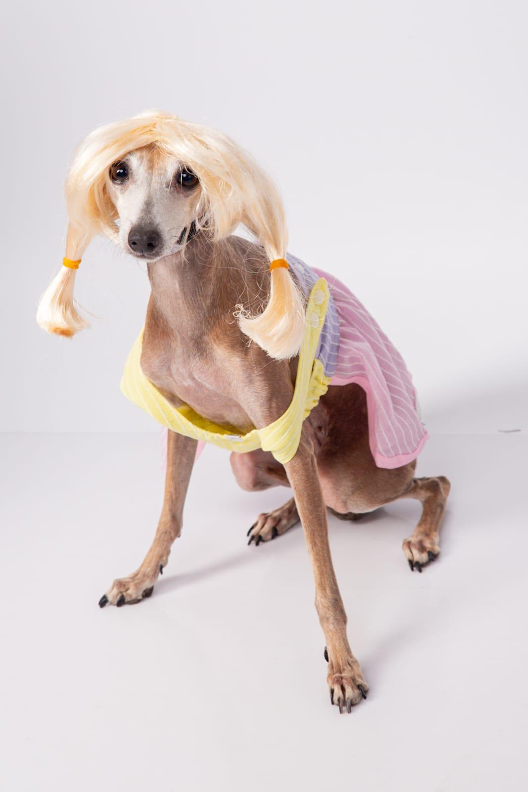 vestido candy