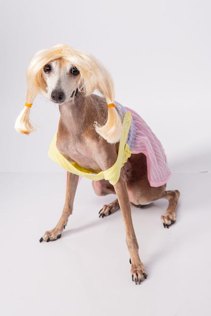Vestido Candy