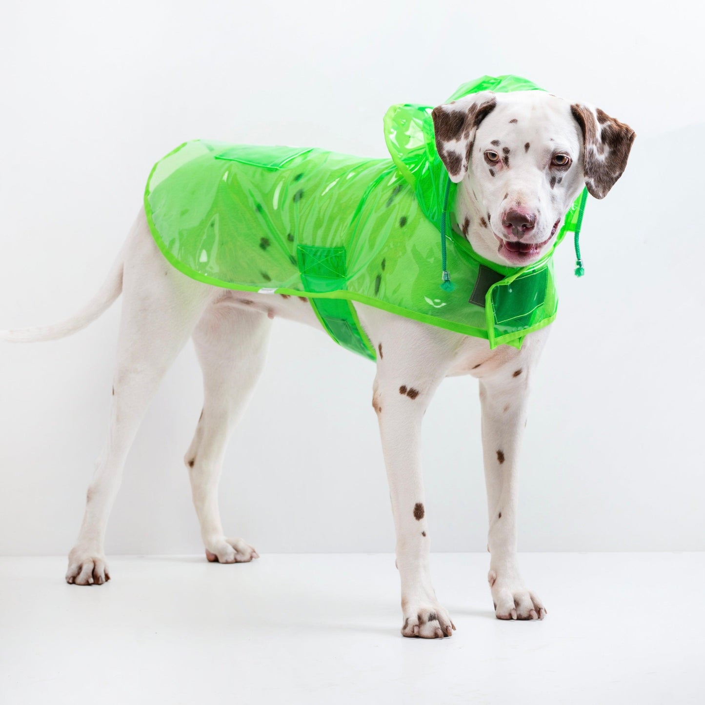 capa de chuva