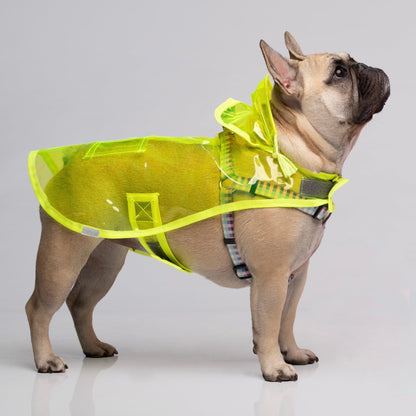 Capa de Chuva