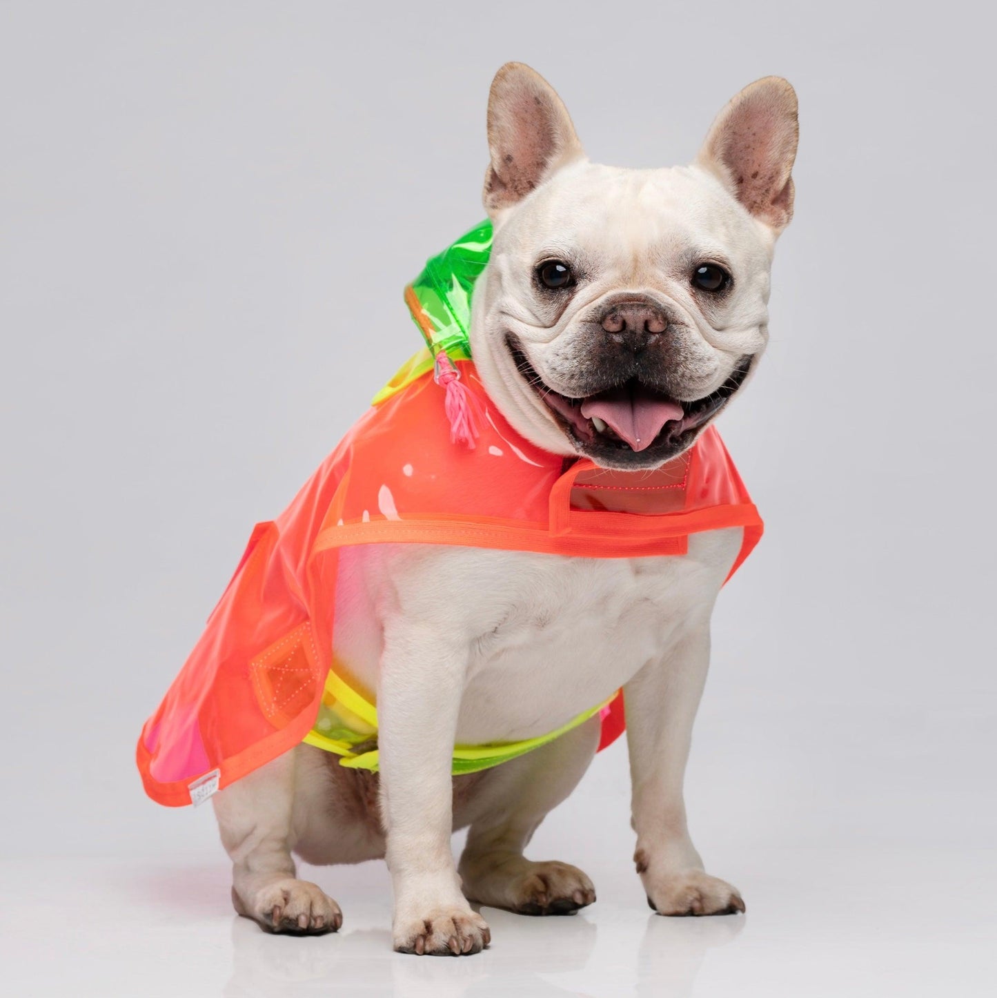 capa de chuva