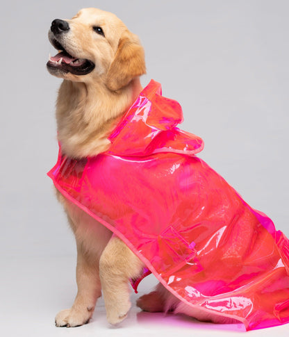Capa de Chuva