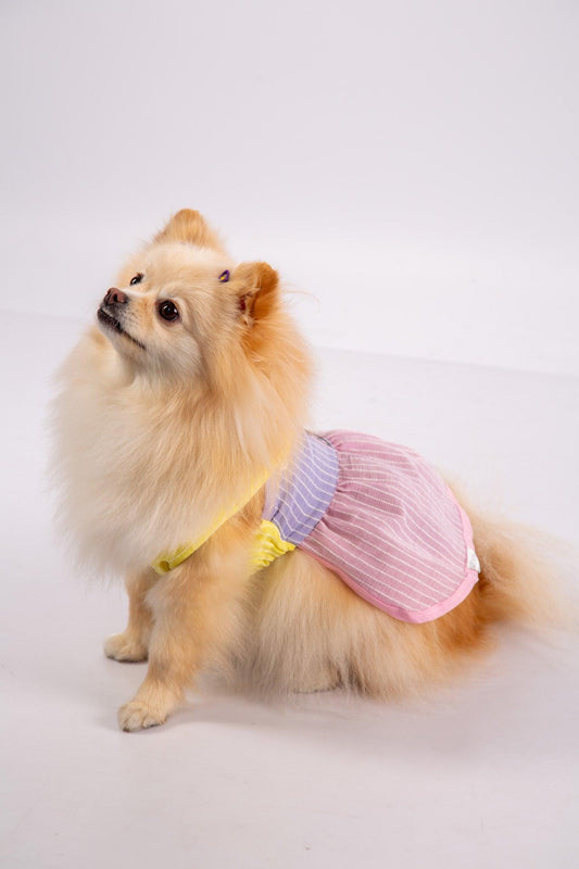 Vestido Candy