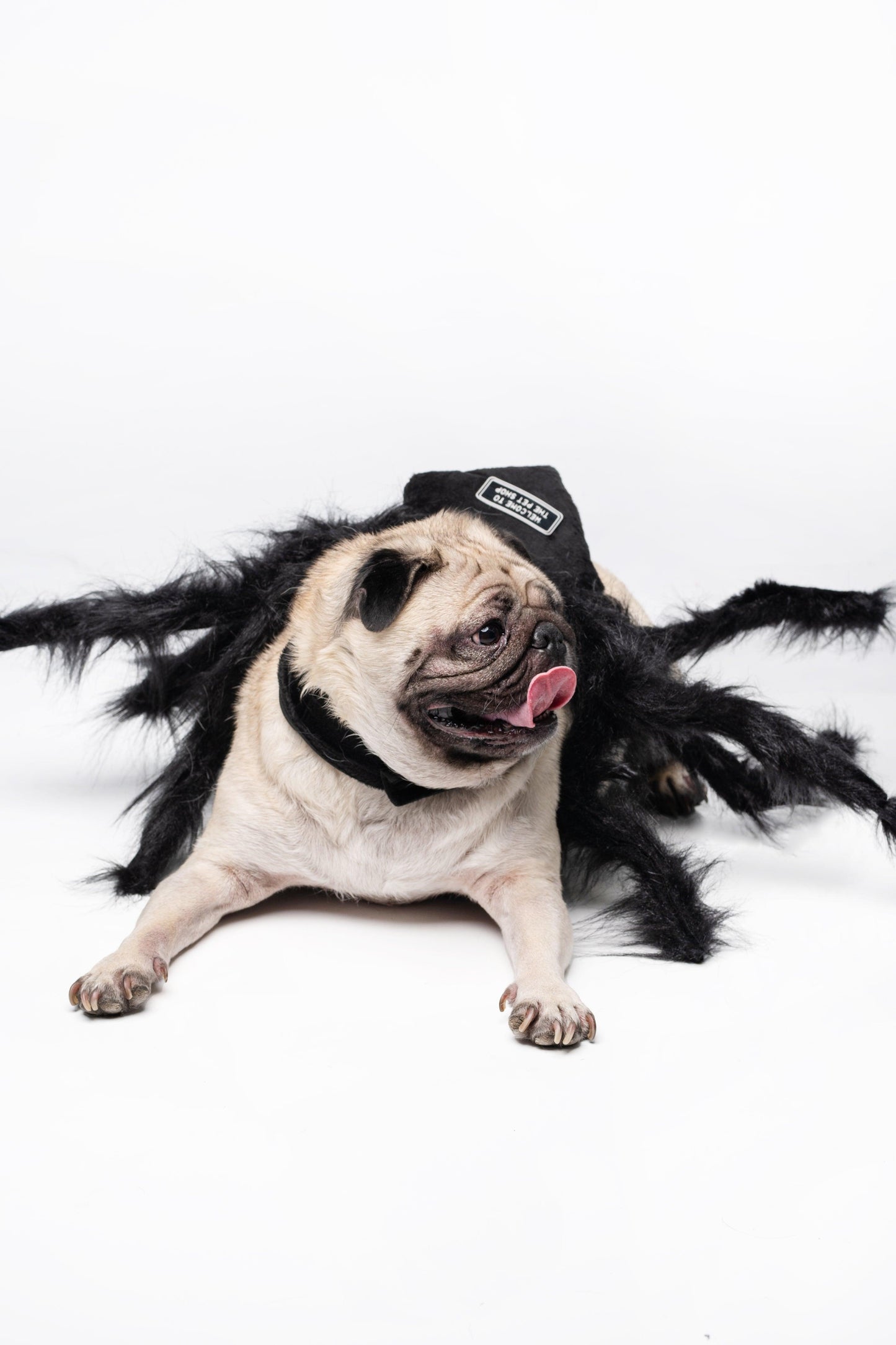 fantasia aranha