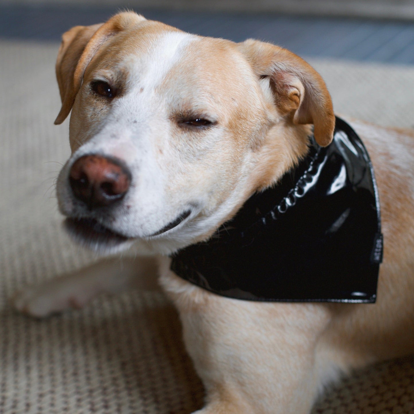 vinyl bandana